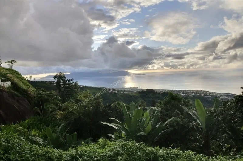Papeete 98714, French Polynesia, Pape'ete, Windward Islands, French Polynesia. - Photo 18