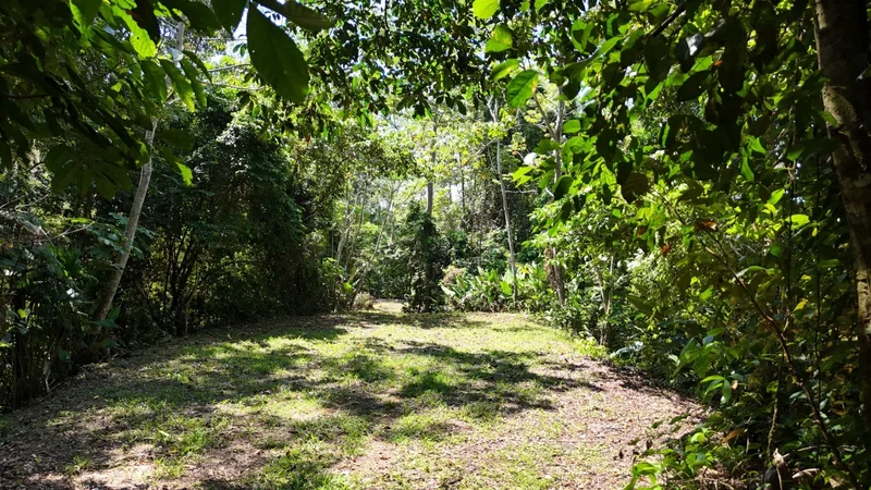 Finca Vista al Pacífico, 71 acres, Savegre de Aguirre, Puntarenas Province, Costa Rica. - Photo 11