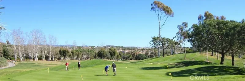 34882 Doheny, Dana Point, CA 92624, Dana Point, California, United States. - Photo 20