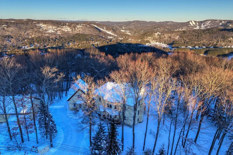 26 Ch. des Tilleuls, Saint-Sauveur, Quebec, QC J0R1R7, Saint-Sauveur, Quebec, Canada. - Photo 78