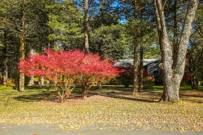 Thumbnail 20