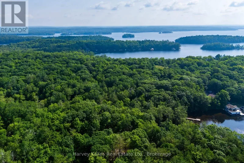 1254 Barlochan Road, Muskoka Lakes (Wood (Muskoka Lakes)), ON, P1P1R2, CANADA, Gravenhurst, Ontario, Canada. - Photo 26