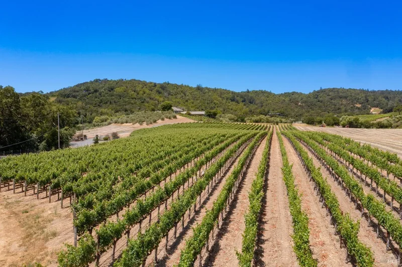 3211 Dry Creek Rd, Napa, CA 94558, Napa, California, United States. - Photo 9