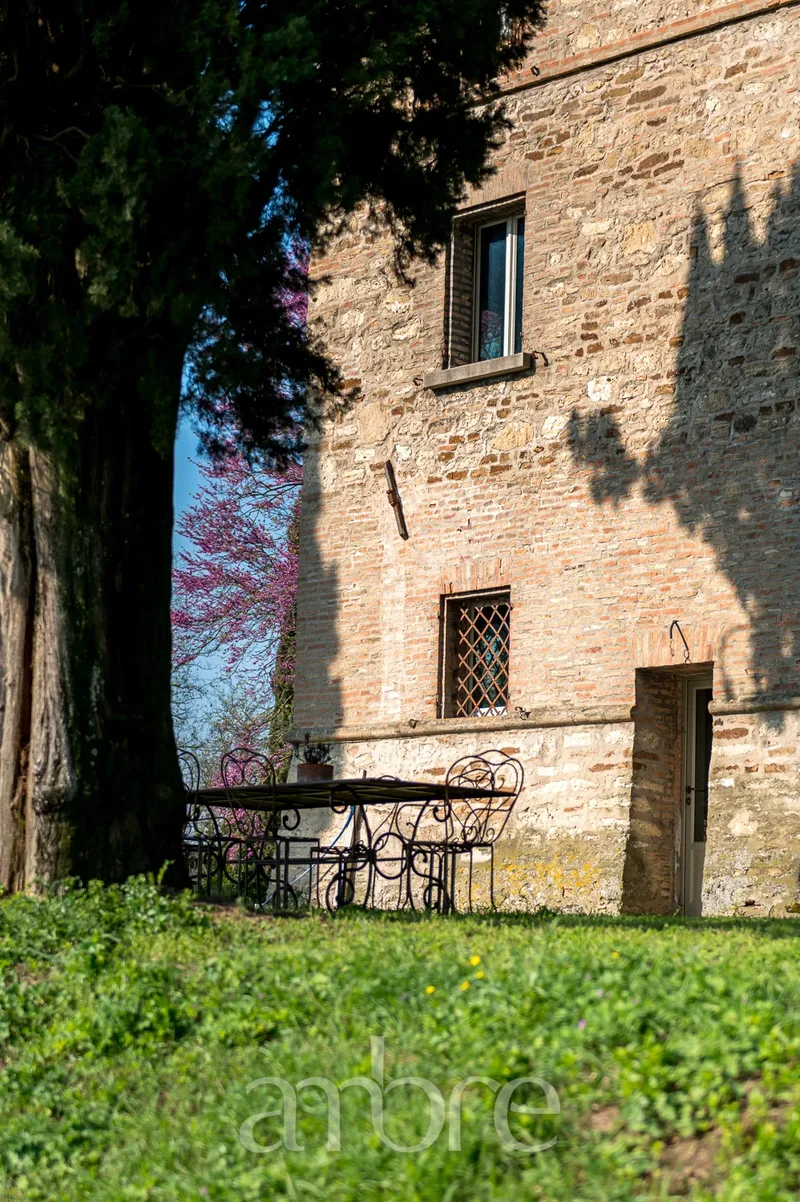 47032 Bertinoro, Province of Forlì-Cesena, Italy, Bertinoro, Emilia-Romagna, Italy. - Photo 11