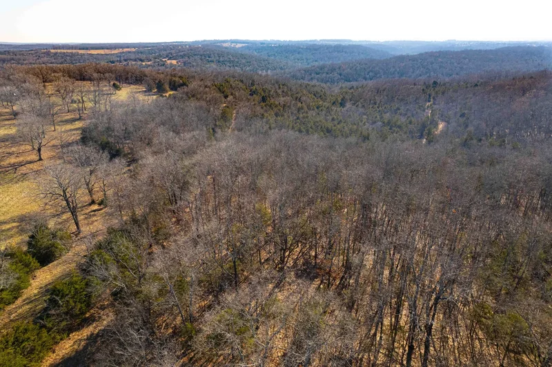 000 Burmingham Road, Forsyth, MO 65653, Forsyth, Missouri, United States. - Photo 14