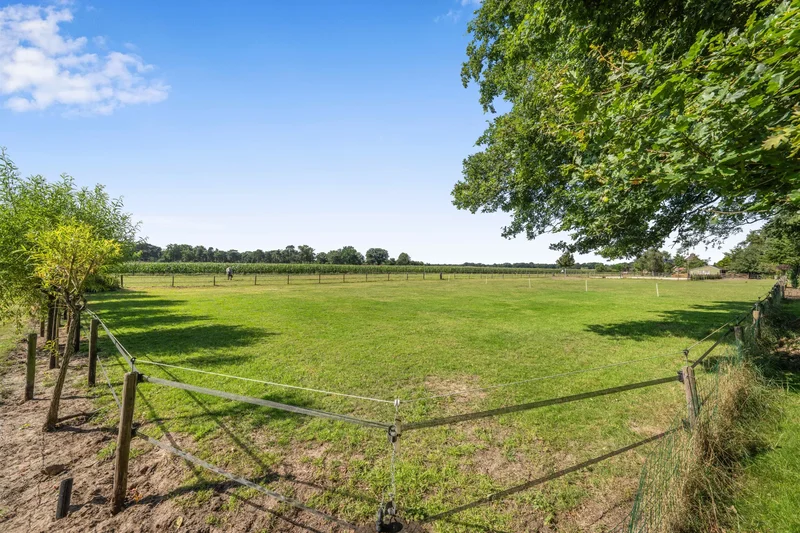 Nuisvelderbos 5, HARFSEN, NH 7217 RP, Harfsen, Gelderland, Netherlands. - Photo 10