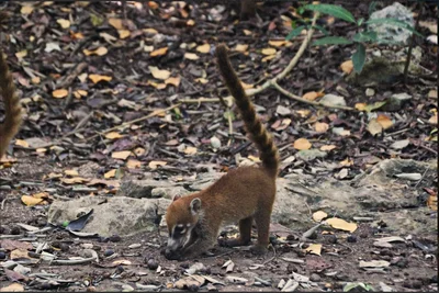 Thumbnail 13