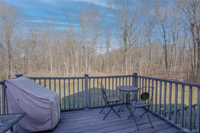 13 Edna Drive, Hyde Park, New York, United States. - Photo 50