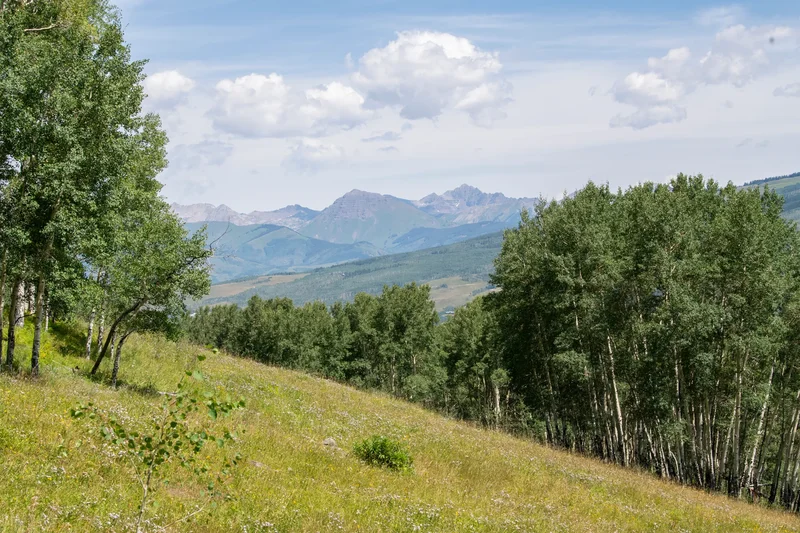 2555 Aspen Mountain Rd , Crested Butte, CO 81224, Crested Butte, Colorado, United States. - Photo 5