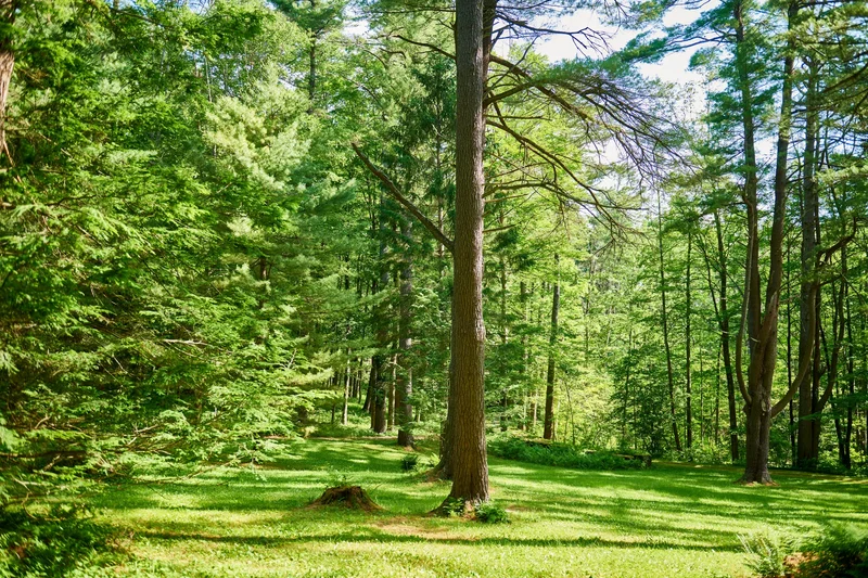 319 Under Mountain Rd, Lenox, MA 01240, Lenox, Massachusetts, United States. - Photo 10