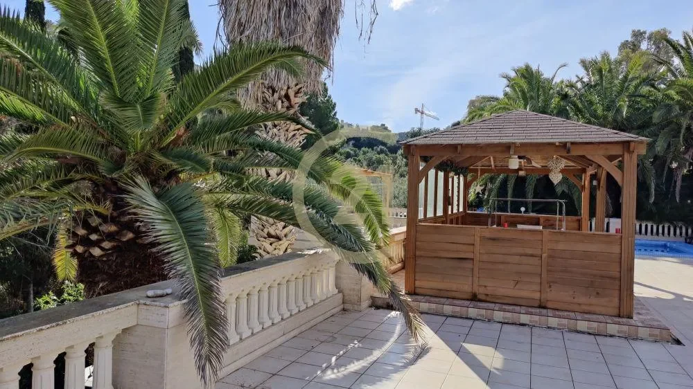 Gallery photo 10