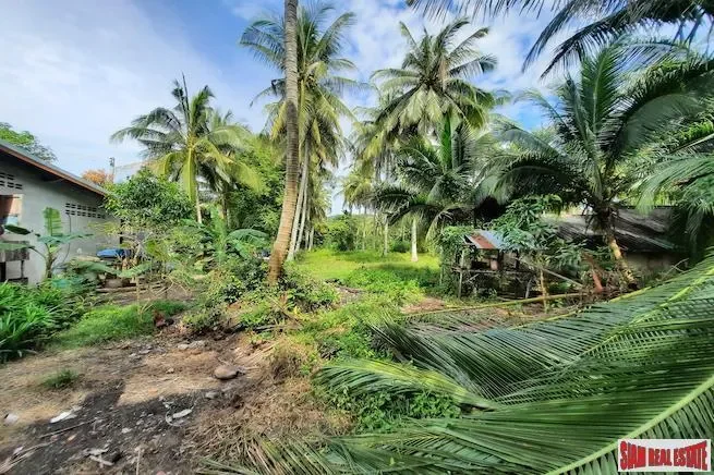 Krabi,, Nong Thale, Krabi, Thailand. - Photo 4