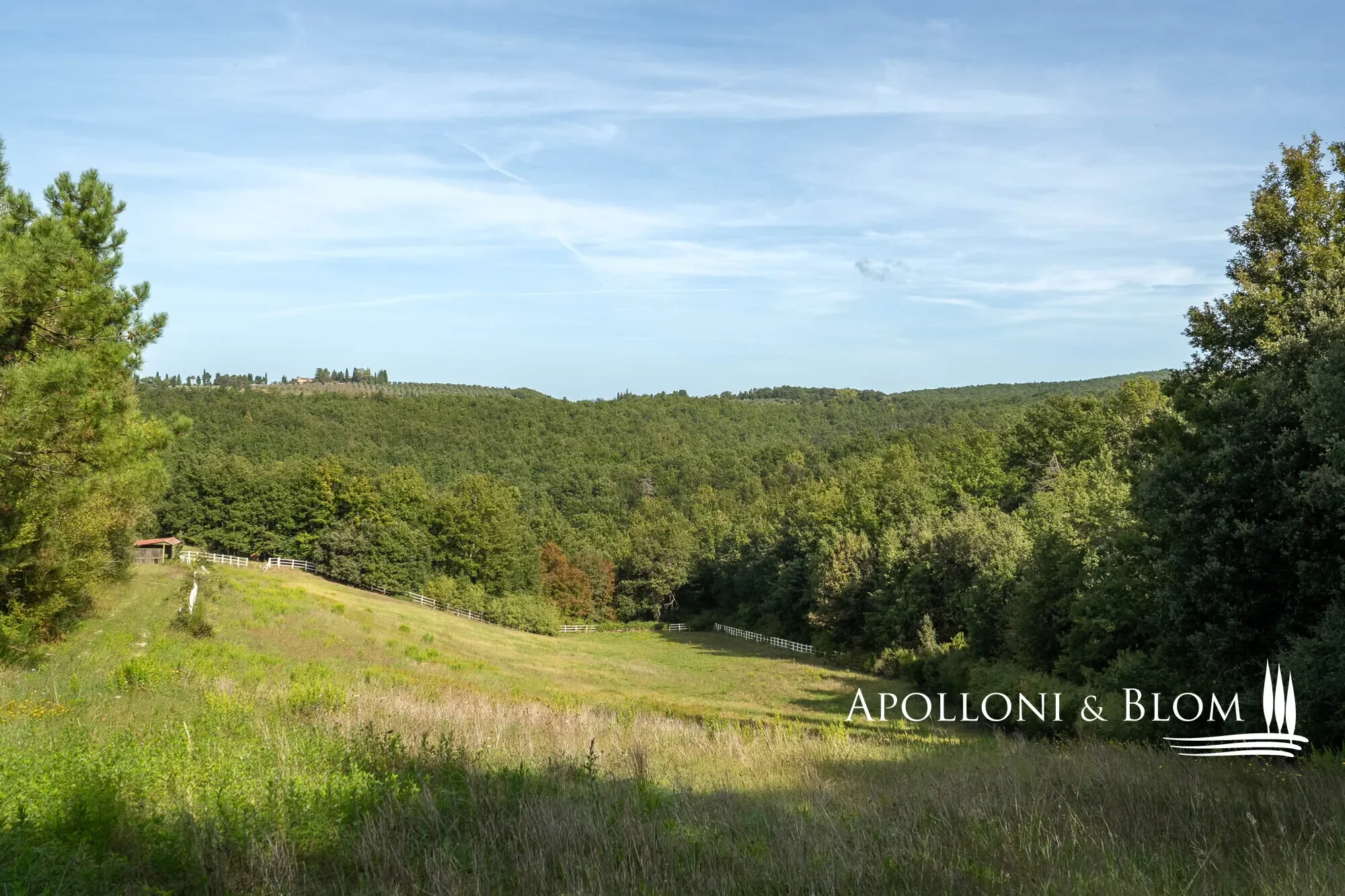Tuscany, Italy. - Photo 10