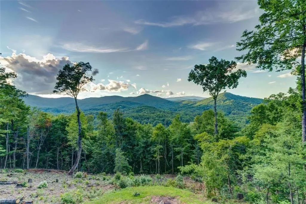 370 High Ridge Road, Blue Ridge, Georgia, United States. - Photo 28