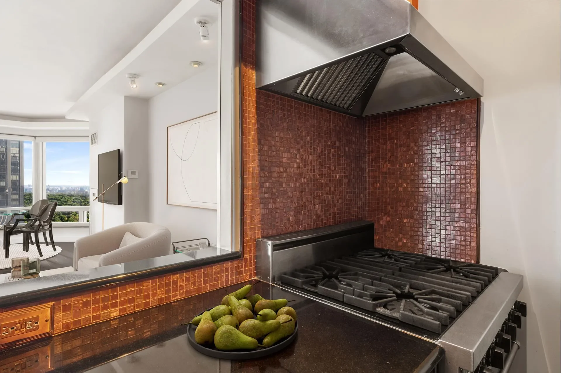 CENTRAL PARK PLACE, 301 W 57TH ST, New York, New York, United States. - Photo 3