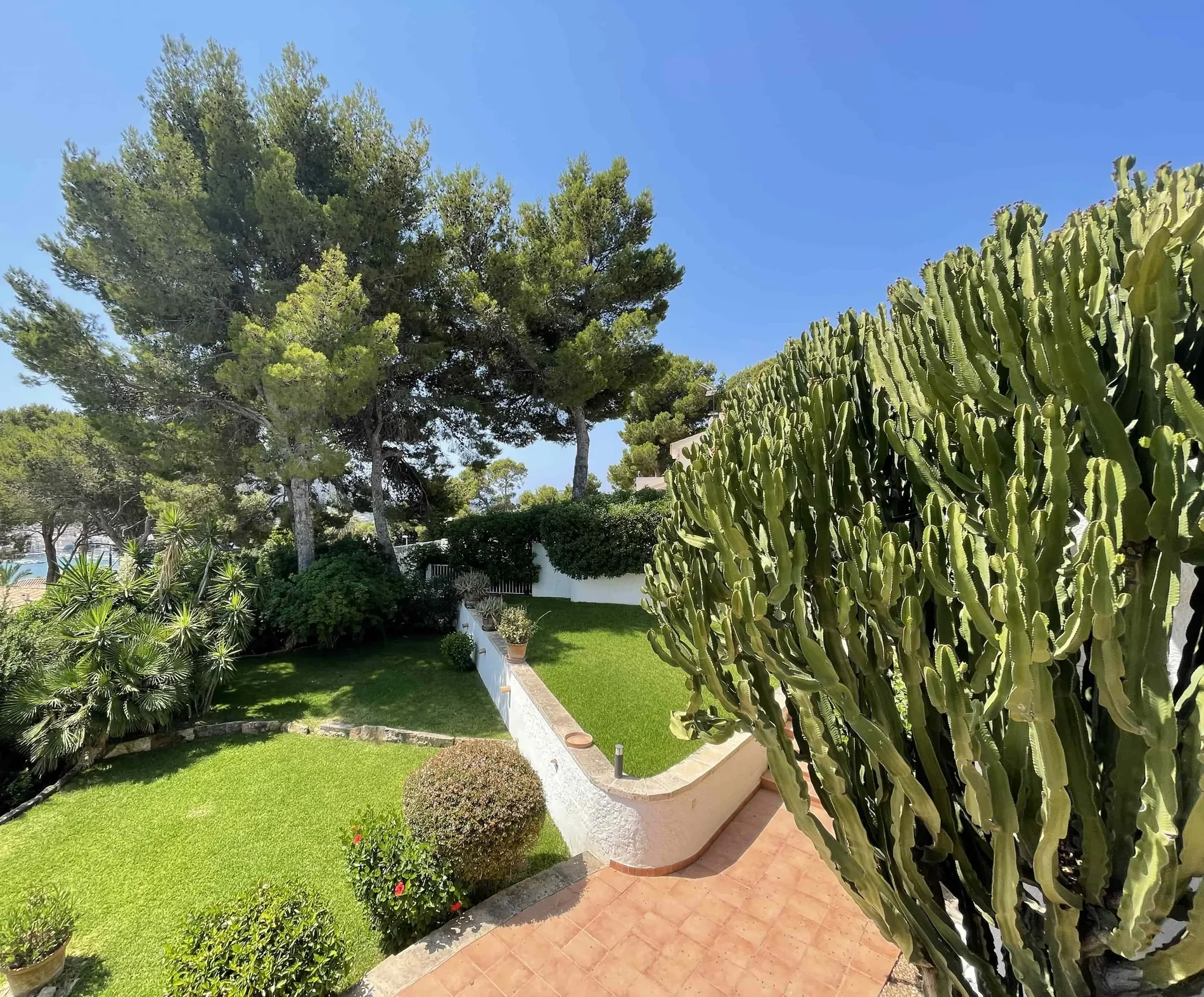 Puerto de Andratx, Mallorca, Puerto de Andratx, Port d'Andratx, Andratx, Balearic Islands. - Photo 14