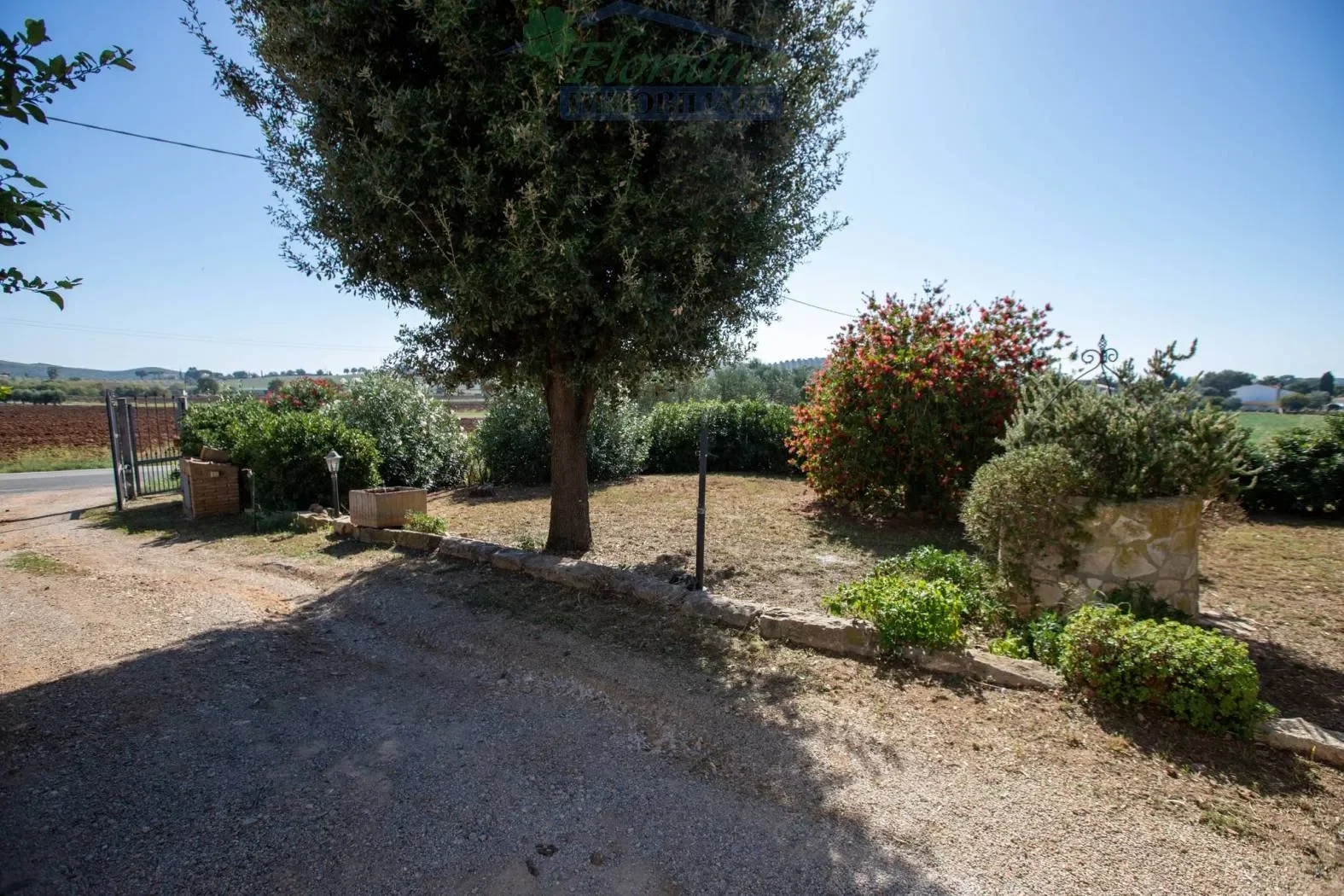Strada Valmarina, Capalbio, Tuscany, Italy. - Photo 5