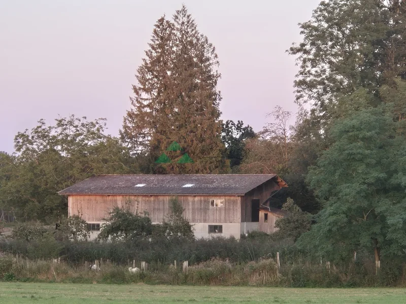 Vieux-Ferrette, Grand Est, France. - Photo 4