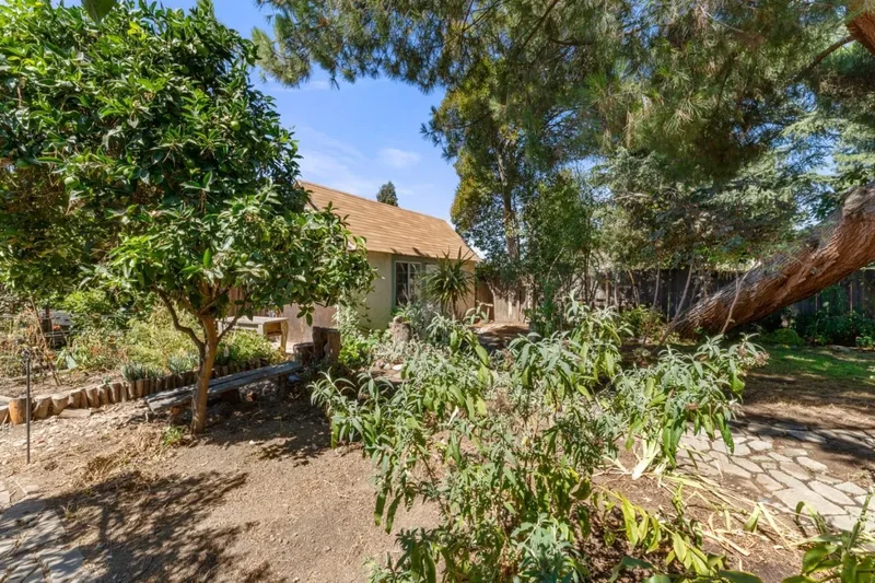 841 Willis Avenue, San Jose, California, United States. - Photo 45