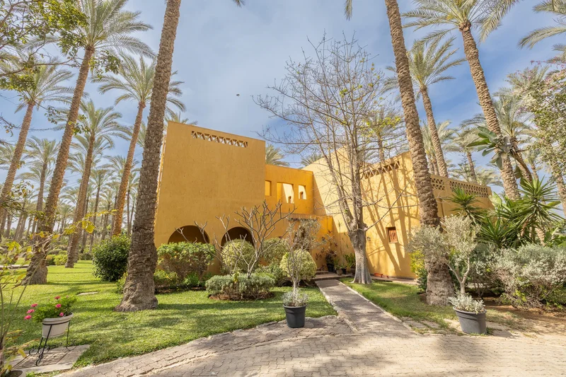 Mansoureya Road, Mansoureya, GZ, Giza Governorate, Egypt. - Photo 11