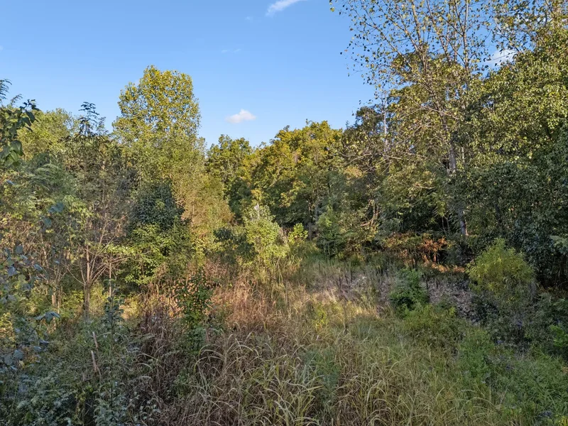 0 Northstone Drive, Columbia, TN 38401, Columbia, Tennessee, United States. - Photo 30