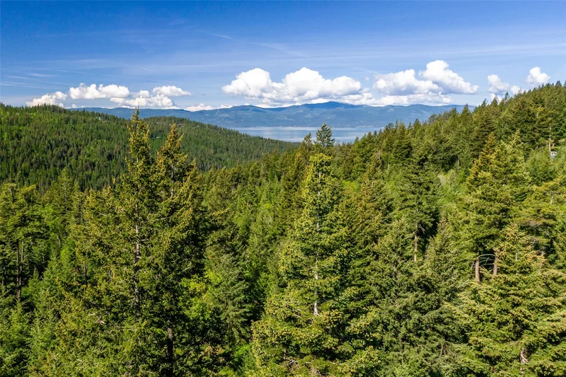 25 Starview Drive, Bigfork, MT 59911, Bigfork, Montana, United States. - Photo 11