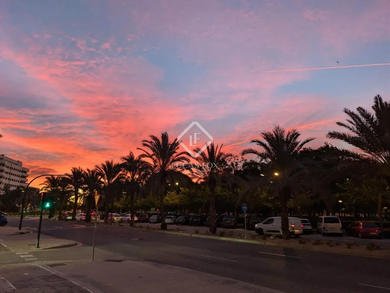Calle de las Moreras, Valencia, Valencia, Valencia, Quatre Carreres, Valencia, Spain. - Photo 68