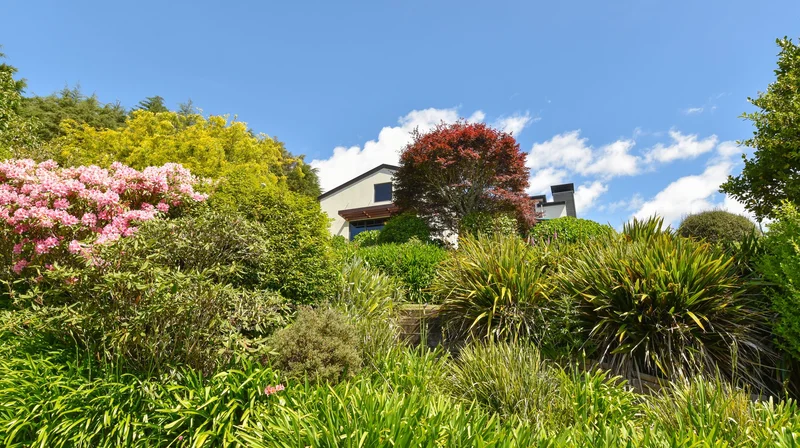 140 Hawthornden Drive Tikitere , Rotorua, BOP 3074, Rotorua, Bay of Plenty, New Zealand. - Photo 13
