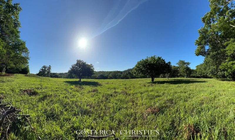 Avellanas, Santa Cruz, Costa Rica. - Photo 8