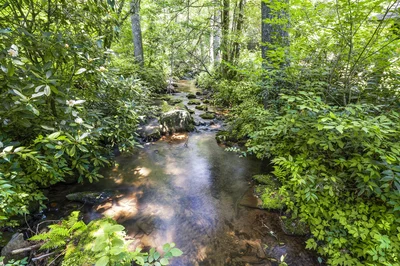 Thumbnail 71