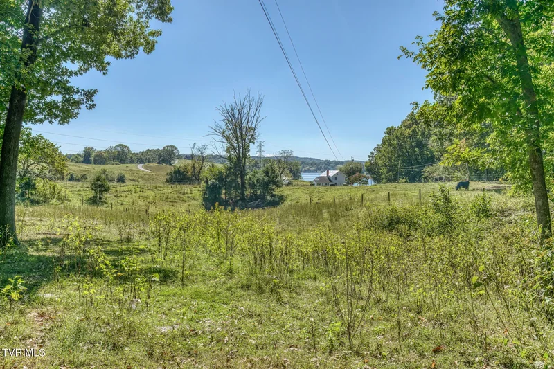 Tbd Yoakley Road, Blountville, TN 37617, Blountville, Tennessee, United States. - Photo 23