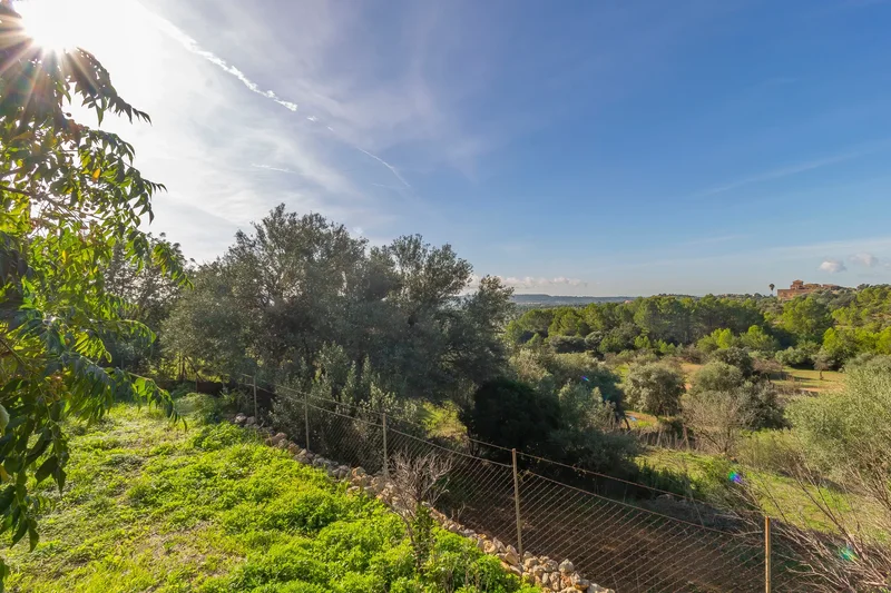 07340 Alaró, Balearic Islands, Spain, Alaro, Balearic Islands, Spain. - Photo 18