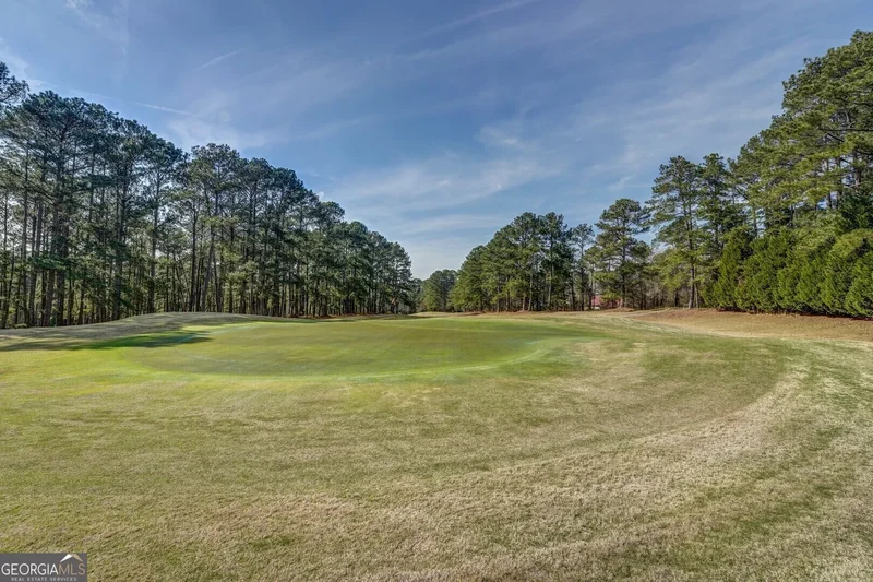 484 Chickadee Court, Monticello, GA 31064, Monticello, Georgia, United States. - Photo 64