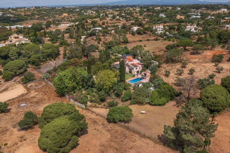 Algarve, Porches, Algarve, Portugal. - Photo 14