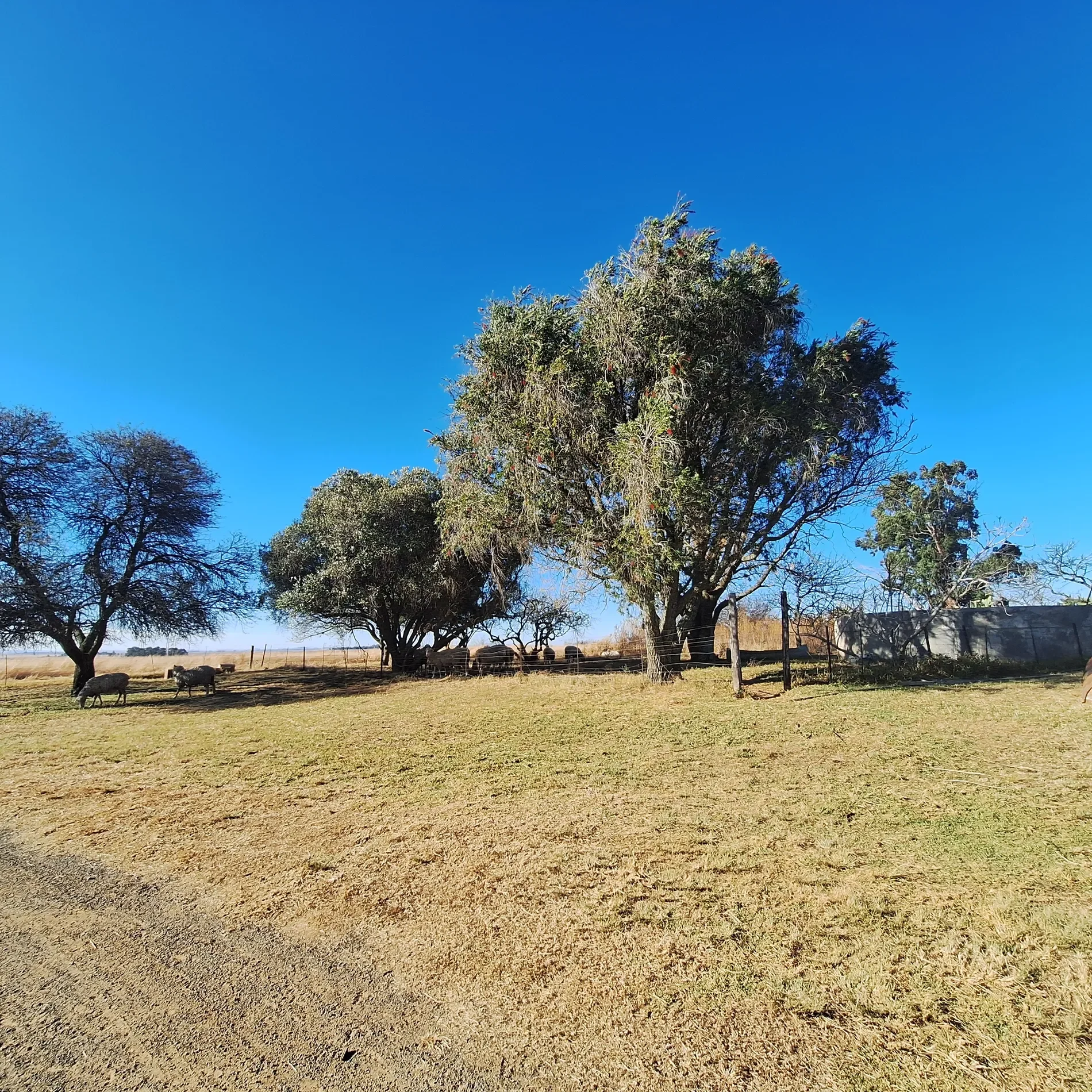 Exterior photo 9