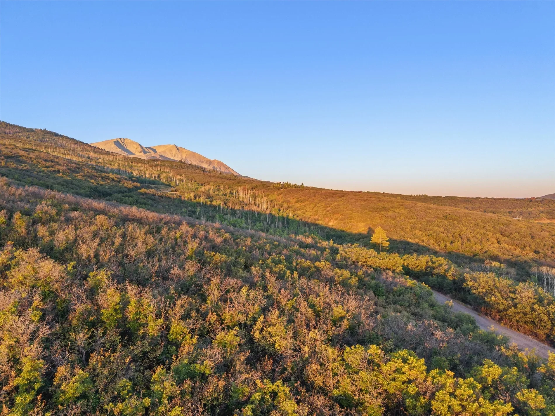 TBD Old Herron Road Lot 48, Basalt, CO 81621, El Jebel, Colorado, United States. - Photo 10