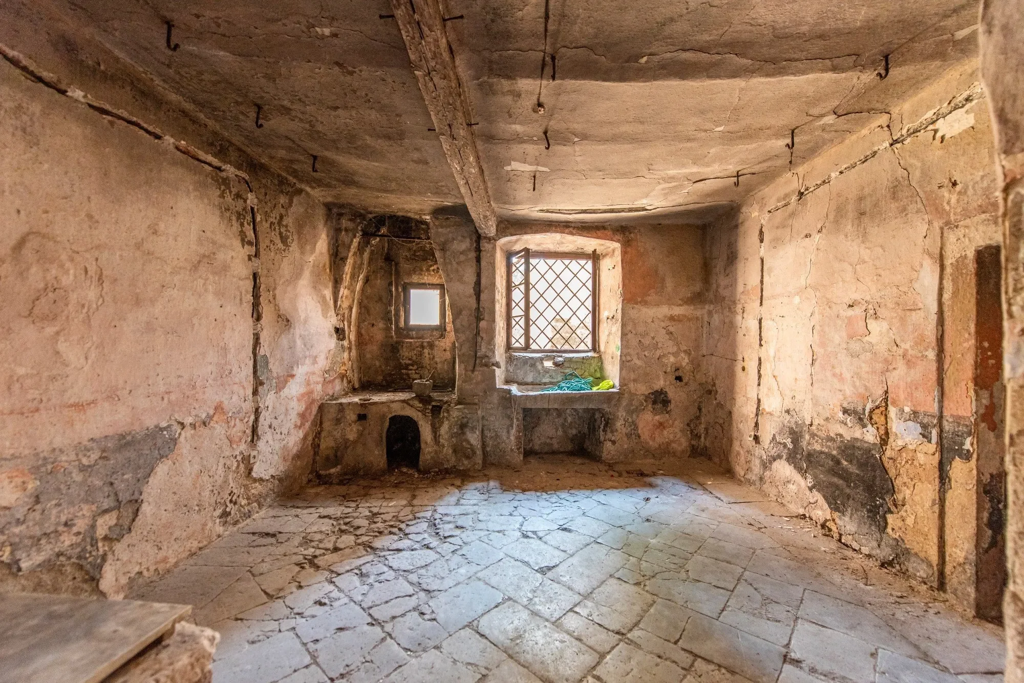 Gallery photo 5