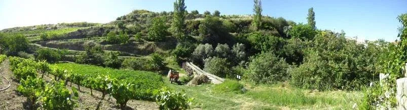 Exterior photo 6