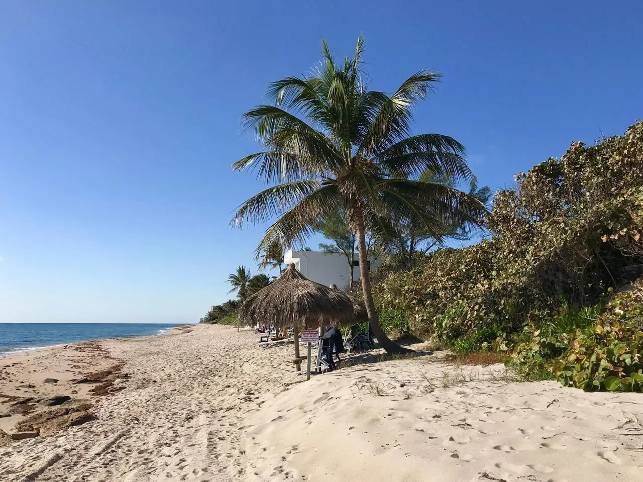 3912 S Ocean Boulevard 704, Boca Raton, Florida, United States. - Photo 42