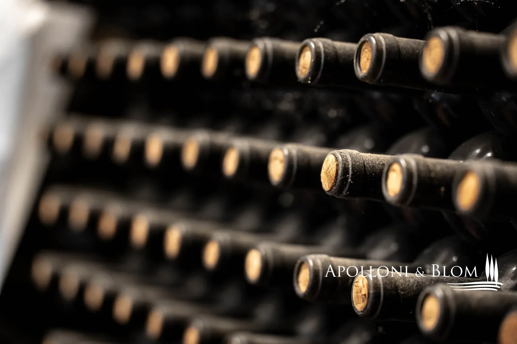 SP 14, Tuscany, Italy. - Photo 34