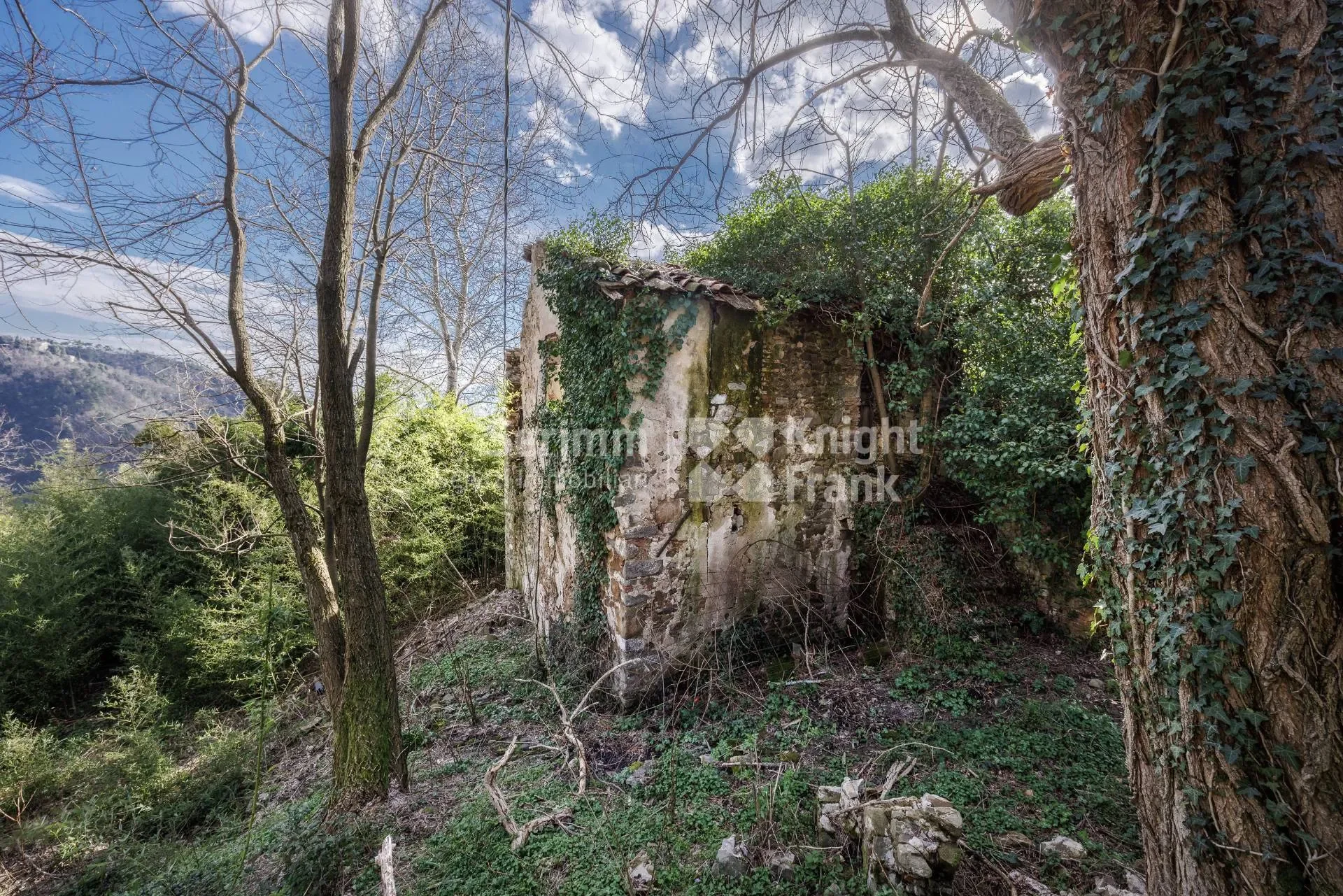 Brancoli, Lucca, Tuscany, Italy. - Photo 18