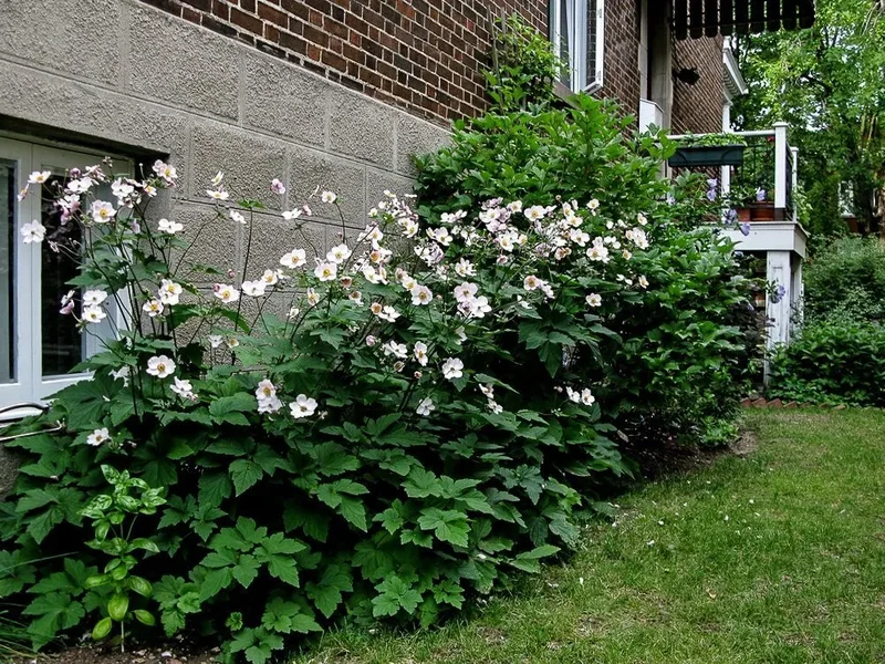 750 752 Av. Stuart, Montréal, Quebec, Canada. - Photo 17