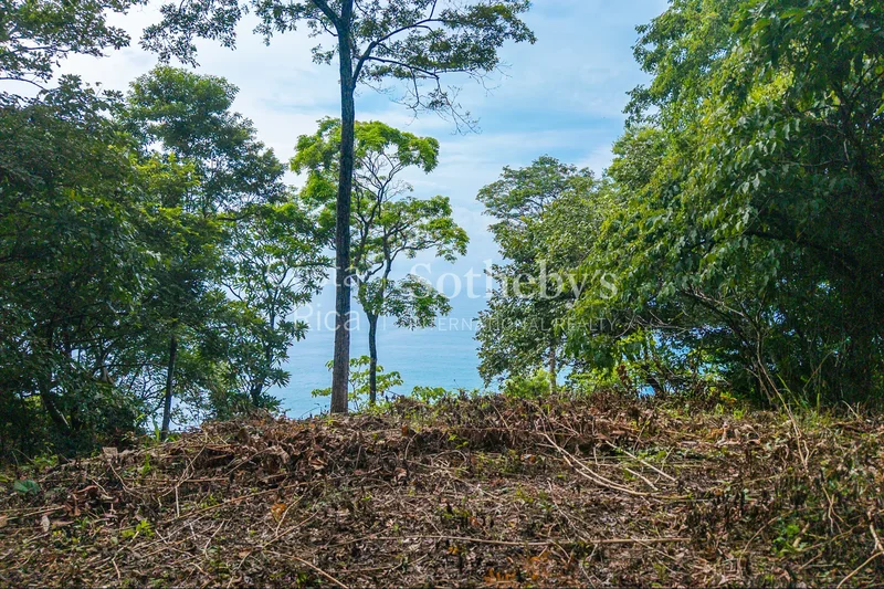 Las Delicias, Cobano, P, Santa Fe, Puntarenas Province, Costa Rica. - Photo 11