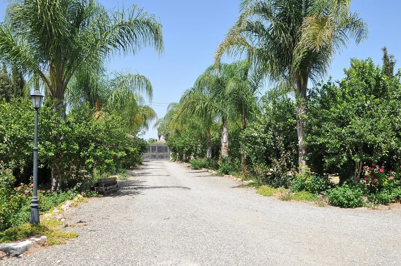 29570 Cártama, Málaga, Spain, Cartama, Andalusia, Spain. - Photo 30