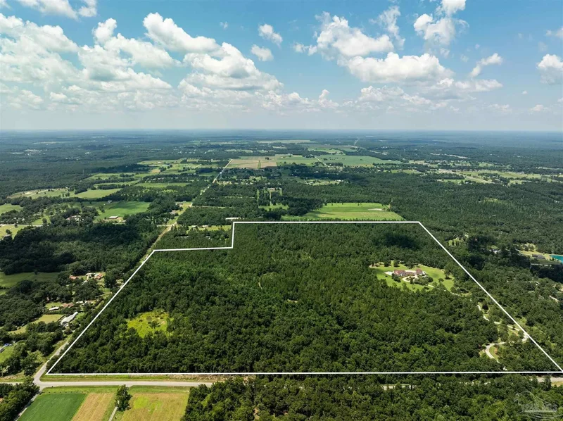 2600 Barrineau Park Rd, Molino, FL, 32577, USA, Molino, Florida, United States. - Photo 2