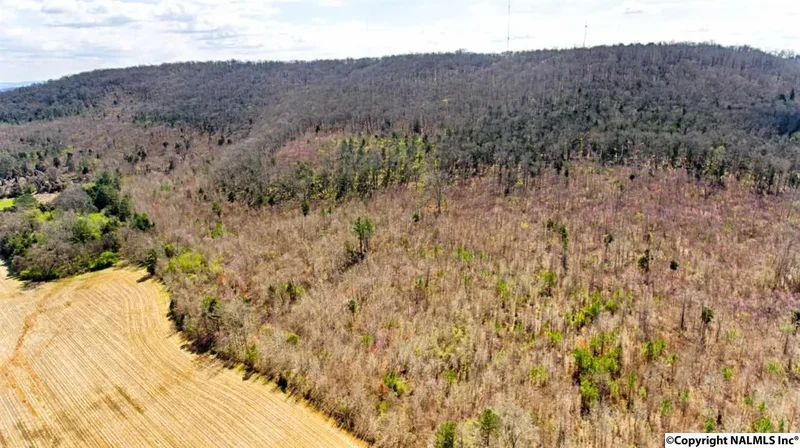 242 acres NW Pulaski Pike, Huntsville, AL 35810, Redstone Arsenal, Alabama, United States. - Photo 10