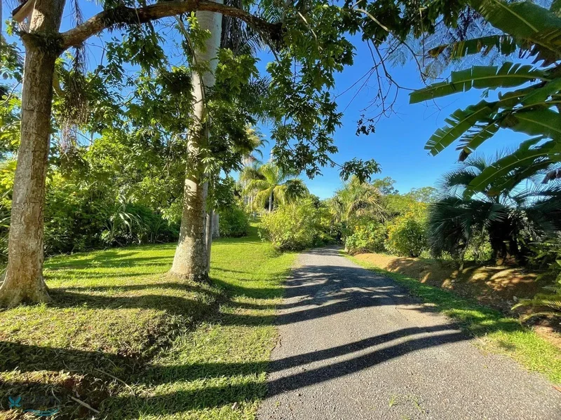 Las Marias KM 16.6 PR 106 198, Mayagüez, Mayagüez, Puerto Rico. - Photo 20