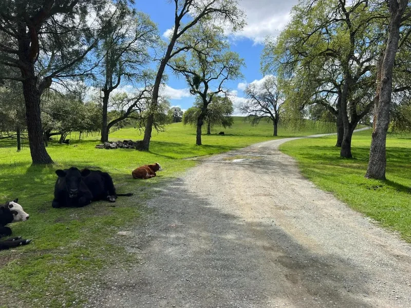 11176 S Camanche Parkway, Wallace, California, United States. - Photo 13