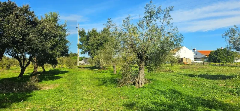 Melides, Grândola, Setúbal, Grândola, Melides, Setubal, Portugal. - Photo 10