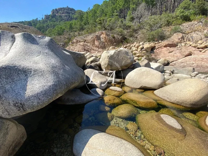 Sari-Solenzara, Corsica, France. - Photo 6